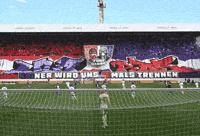 Austria Viola GIF