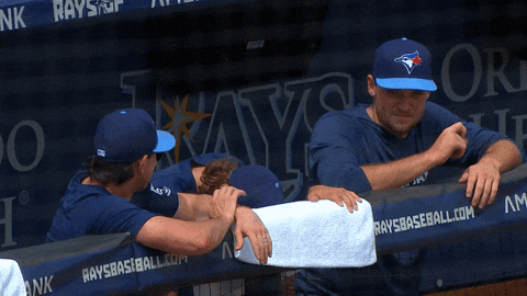 Blue Jays Baseball GIF by Toronto Blue Jays