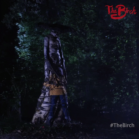 The Birch Love GIF by Crypt TV