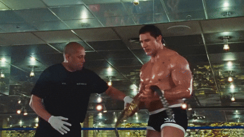 Happy Ufc GIF by VVS FILMS