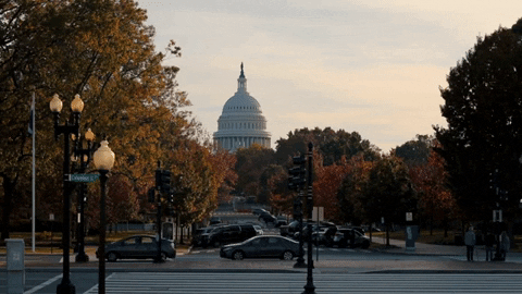 andyfeliciotti giphygifmaker dc washington dc capitol GIF