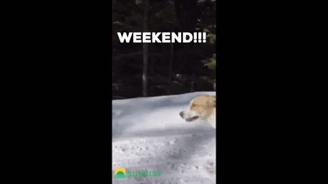 SunriseInvesting giphygifmaker snow winter vibes GIF