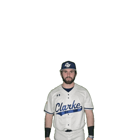 Clarke Baseball Sticker by Clarke University
