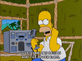 homer simpson radio GIF