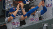 new york mets GIF by MLB
