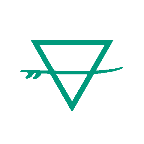 Vertigo-sports giphyupload strand kitesurfing zeeland Sticker