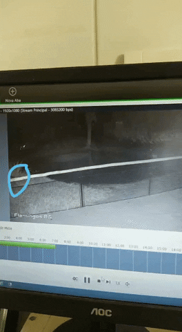 maurciodeh giphyupload GIF