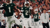 College Football GIF by USF Athletics