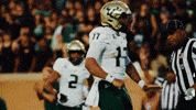 College Football GIF by USF Athletics