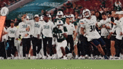 College Football GIF by USF Athletics