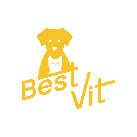 BestVitGmbH giphyupload cat dog best Sticker