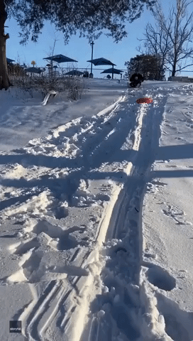 Sledding Oklahoma Man Covers His Infant Son in Snow