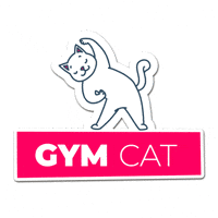 Cat Gym GIF by Homepage.rs