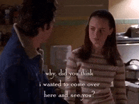 season 2 netflix GIF by Gilmore Girls 