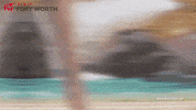 Ft Worth Zoo GIF by Visit Fort Worth