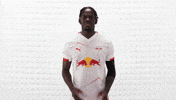 Pray Rb Leipzig GIF by Bundesliga