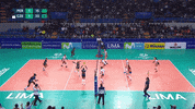 Happy Celebration GIF by Volleyball World