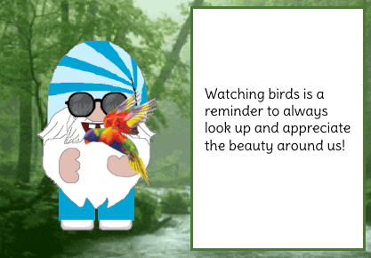 Birds Gnome GIF