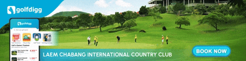 Your GIF description