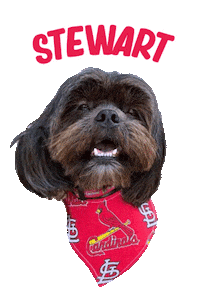 Dog Stewart Sticker