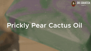 Prickly Pear Cactus GIF by DrSquatchSoapCo