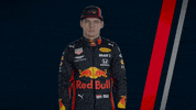 redbullracing car racing race 2019 GIF