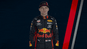 ver formula 1 GIF by Red Bull Racing