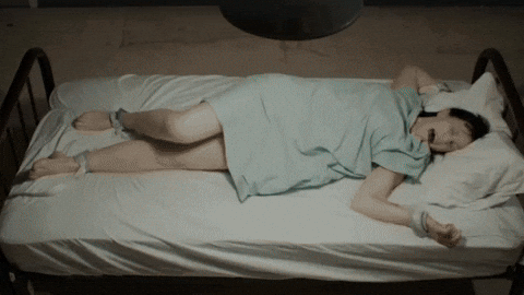blissssss giphyupload GIF