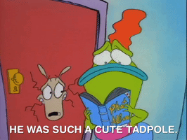 rockos modern life nicksplat GIF