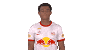 Red Bull Sport Sticker by FC Red Bull Salzburg