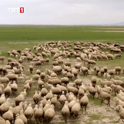 Friends Go GIF by TRT