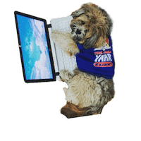Work Leo Sticker