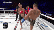 john wayne parr fight GIF by Bellator
