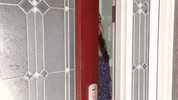 GIF by VoicePlay