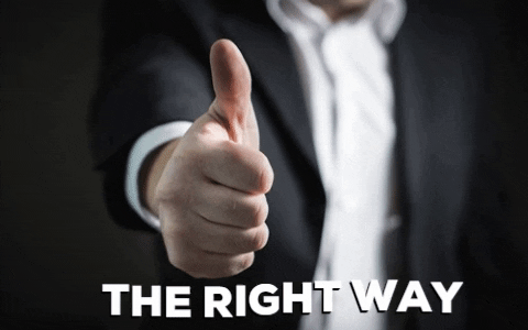 Thamilton54 giphygifmaker GIF