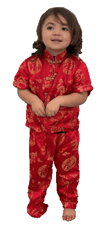 Chinese New Year Baby Sticker by foodbabyny
