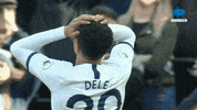 Spurs Tottenham GIF by MolaTV