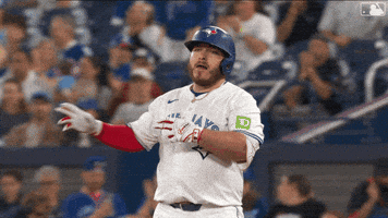 Blue Jays Baseball GIF by Toronto Blue Jays