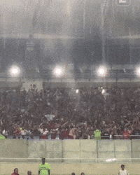 Granate Lanus Campeon GIF