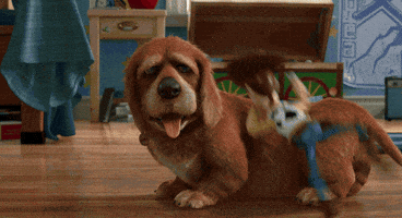 toy story dog GIF by Disney Pixar