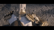 Mtgzendikar GIF by Magic: The Gathering