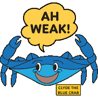 Ha Ha Laugh Sticker by Marvin The Manicou