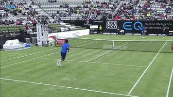 smash atp tour GIF by Tennis TV