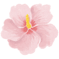 Drfelisflower Sticker by Dr.Felis