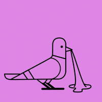 AndrewOrdie pigeon gum stickysituation GIF