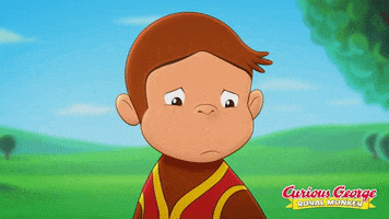 Curious George What GIF by Universal Pictures Home Entertainment