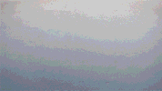 superorganism GIF by Domino Recording Co.