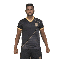 Indian Football Sticker by Indian Super League