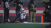 Dance Football GIF by New England Patriots