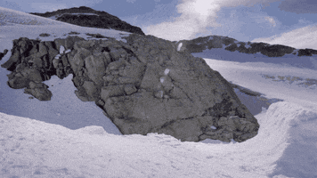 unreal GIF by EchoBoom Sports